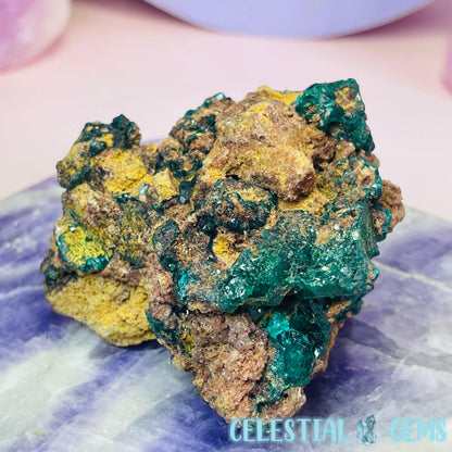 Rare Dioptase Cluster Medium Specimen D