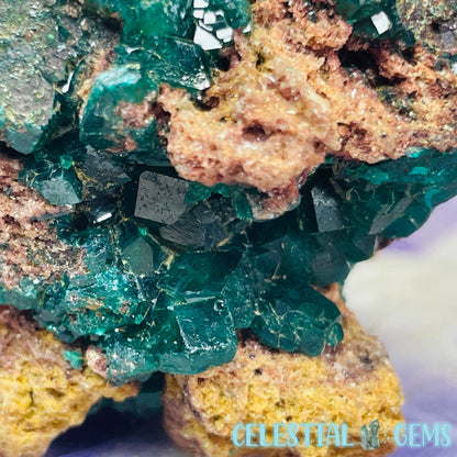 Rare Dioptase Cluster Medium Specimen D