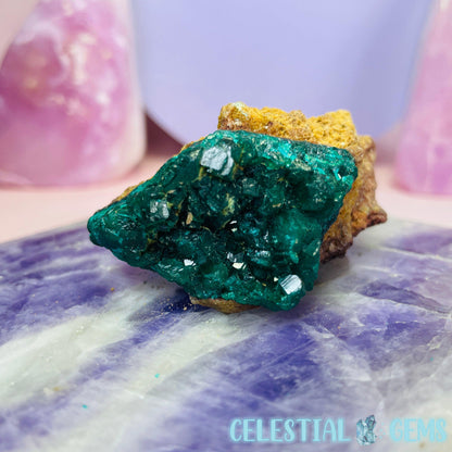 Rare Dioptase Cluster Small Specimen E