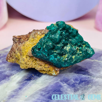 Rare Dioptase Cluster Small Specimen E