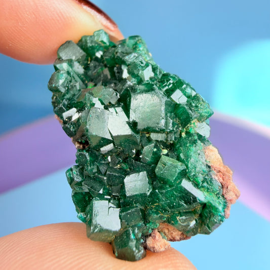 Rare Dioptase Cluster Specimen (Video)