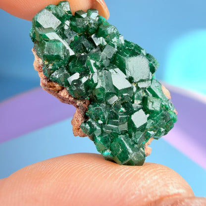 Rare Dioptase Cluster Specimen (Video)