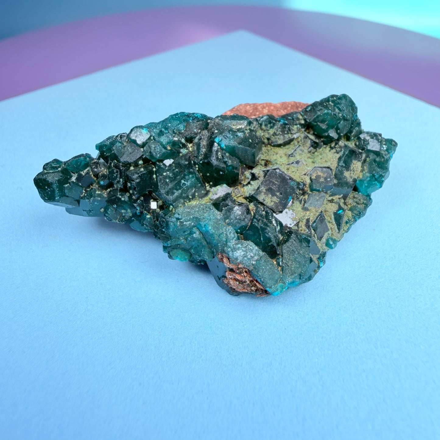 Rare Dioptase Cluster Specimen (Video)