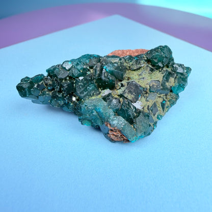 Rare Dioptase Cluster Specimen (Video)
