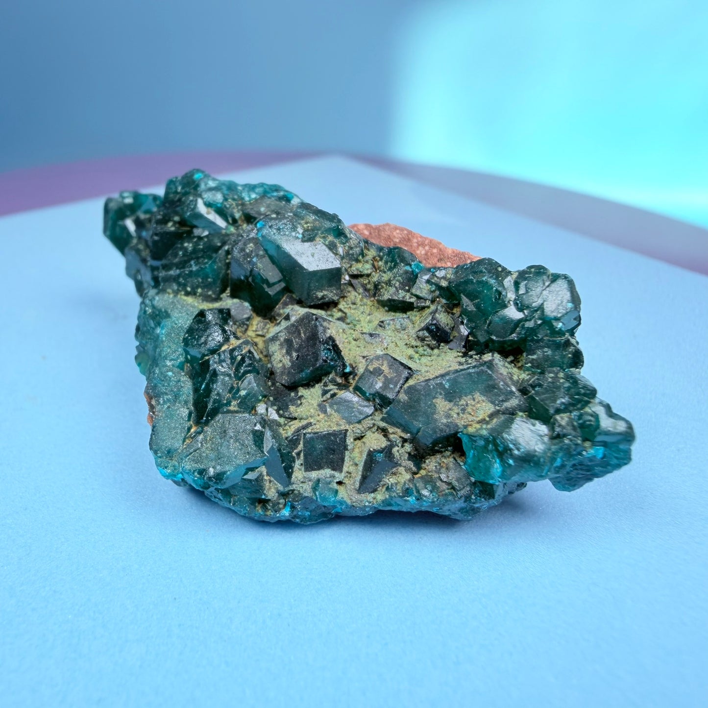 Rare Dioptase Cluster Specimen (Video)