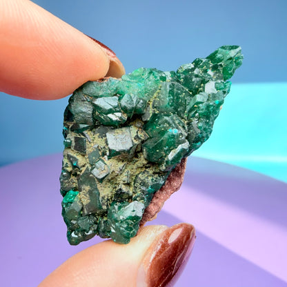 Rare Dioptase Cluster Specimen (Video)