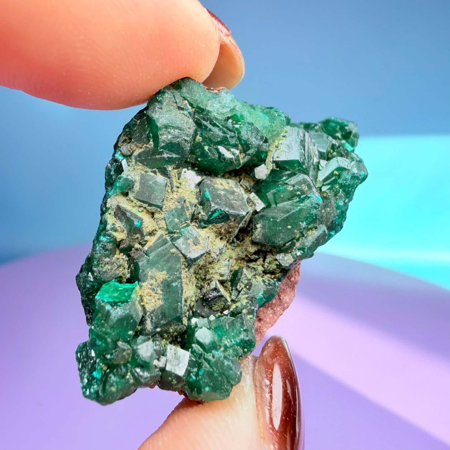 Rare Dioptase Cluster Specimen (Video)
