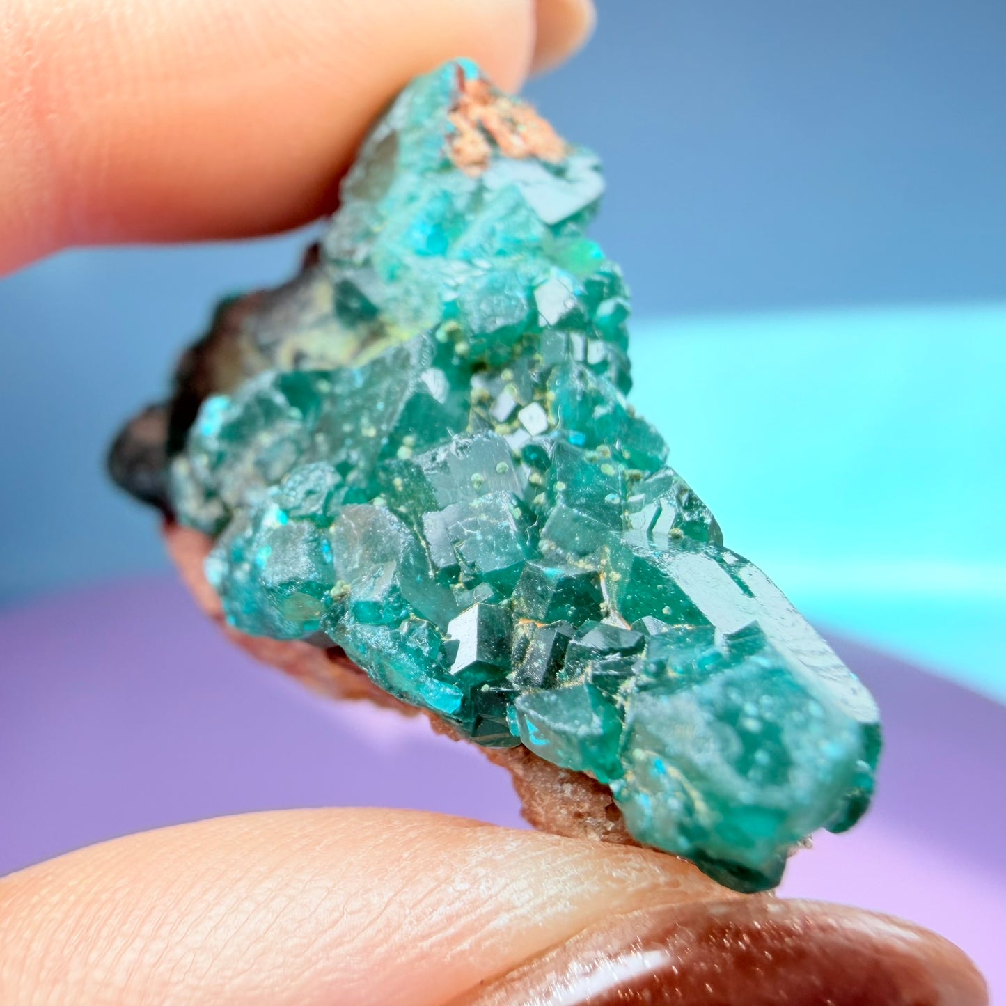 Rare Dioptase Cluster Specimen (Video)