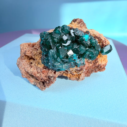 Rare Dioptase Cluster Specimen (Video)