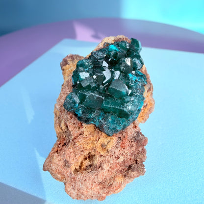 Rare Dioptase Cluster Specimen (Video)
