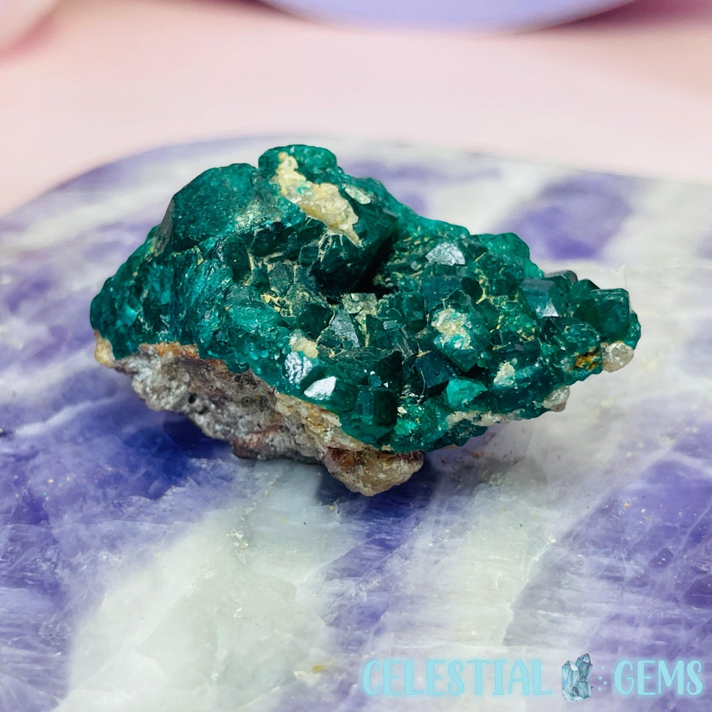 Rare Dioptase Cluster Small Specimen H