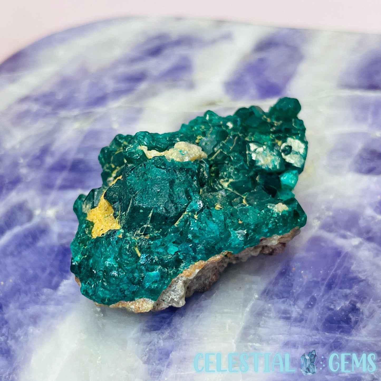 Rare Dioptase Cluster Small Specimen H