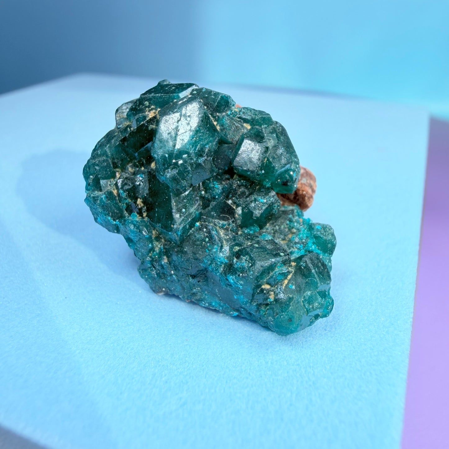 Rare Dioptase Cluster Specimen (Video)