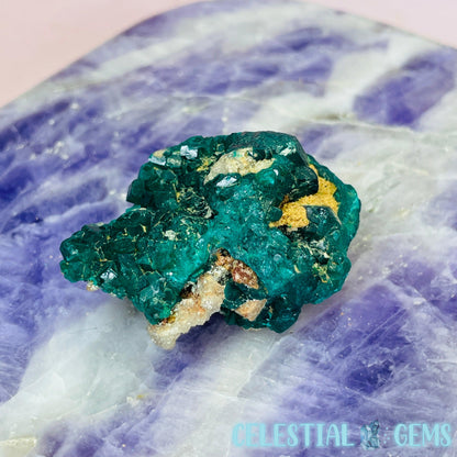 Rare Dioptase Cluster Small Specimen H