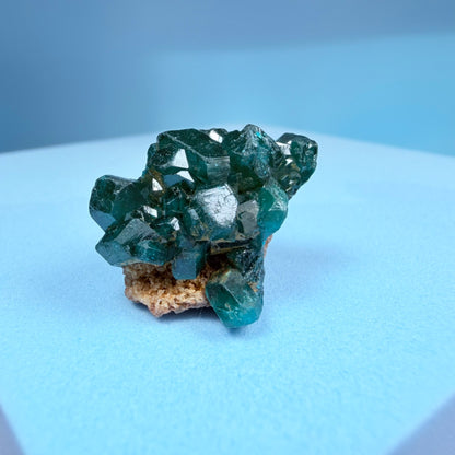 Rare Dioptase Cluster Specimen (Video)