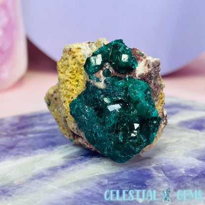 Rare Dioptase Cluster Small Specimen I