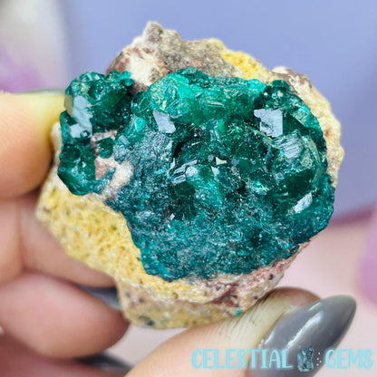 Rare Dioptase Cluster Small Specimen I