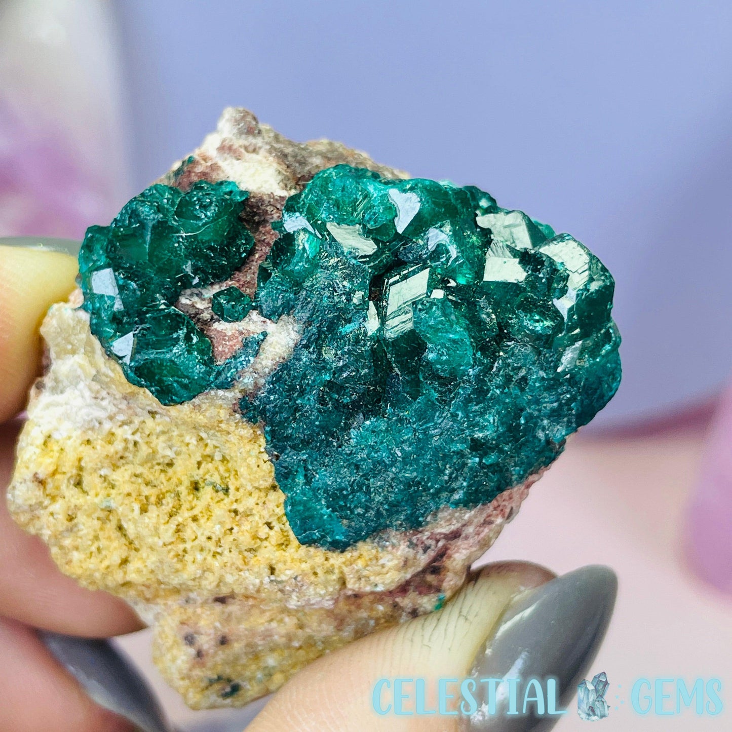 Rare Dioptase Cluster Small Specimen I