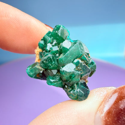 Rare Dioptase Cluster Specimen (Video)