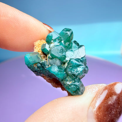 Rare Dioptase Cluster Specimen (Video)