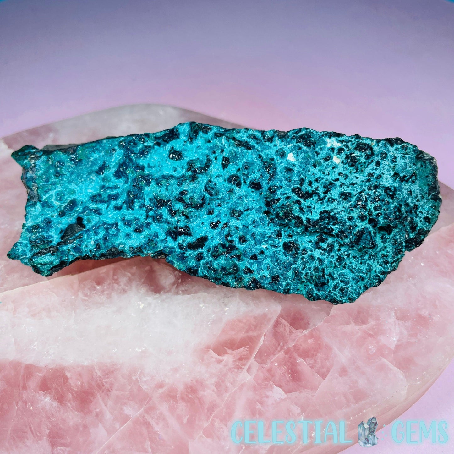 Gem Silica Chrysocolla + Shattuckite Raw Small Specimen