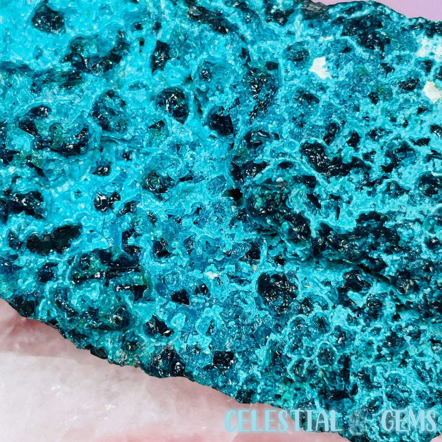 Gem Silica Chrysocolla + Shattuckite Raw Small Specimen