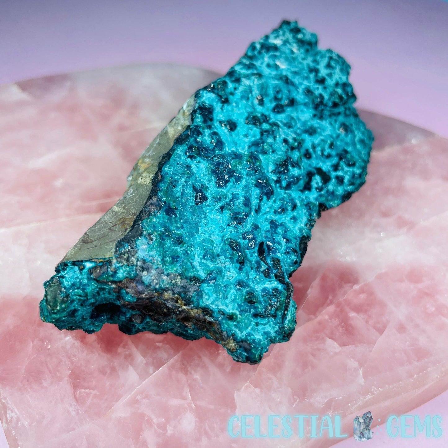 Gem Silica Chrysocolla + Shattuckite Raw Small Specimen