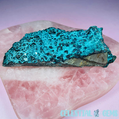 Gem Silica Chrysocolla + Shattuckite Raw Small Specimen