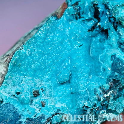 Gem Silica Chrysocolla + Shattuckite Raw Large Specimen