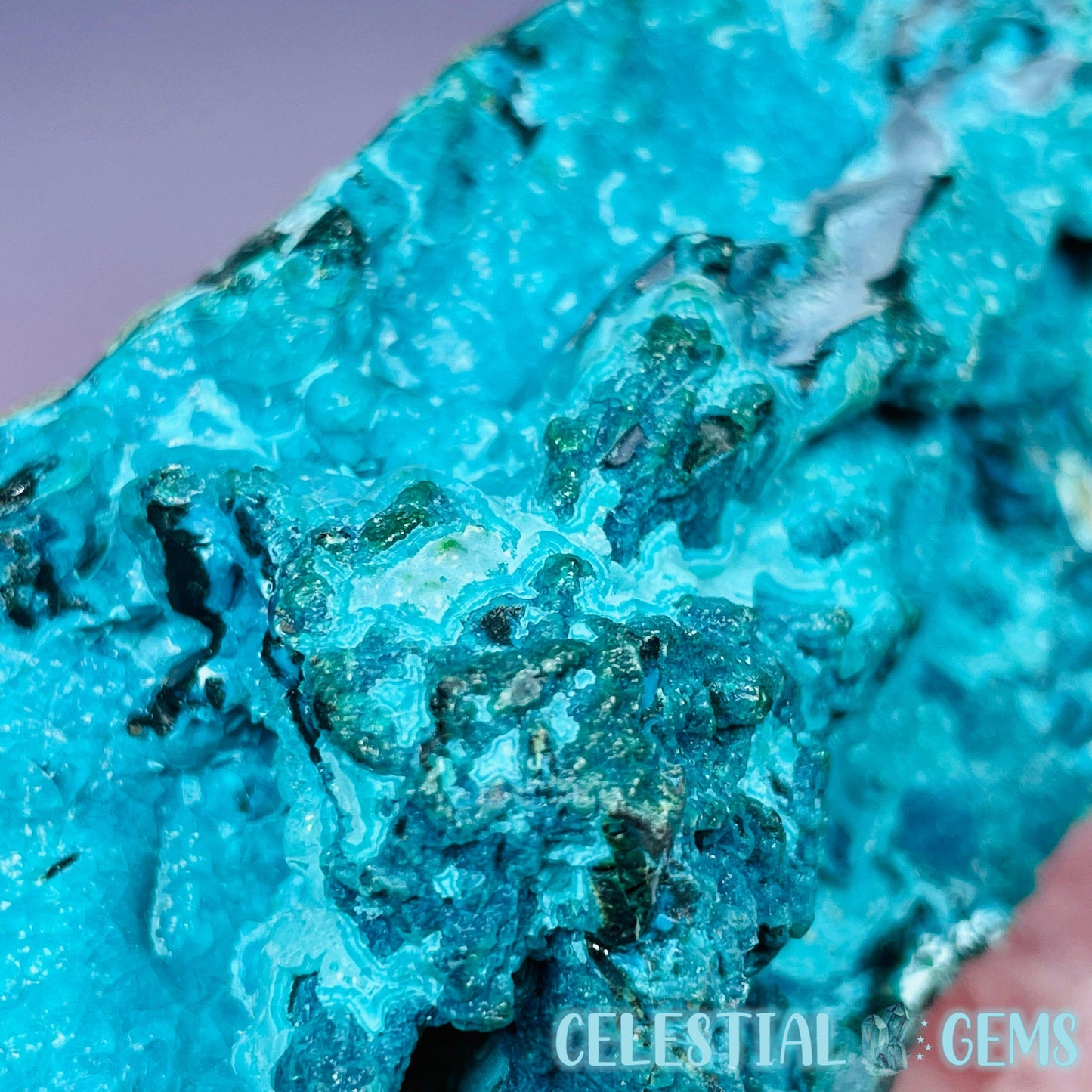 Gem Silica Chrysocolla + Shattuckite Raw Large Specimen