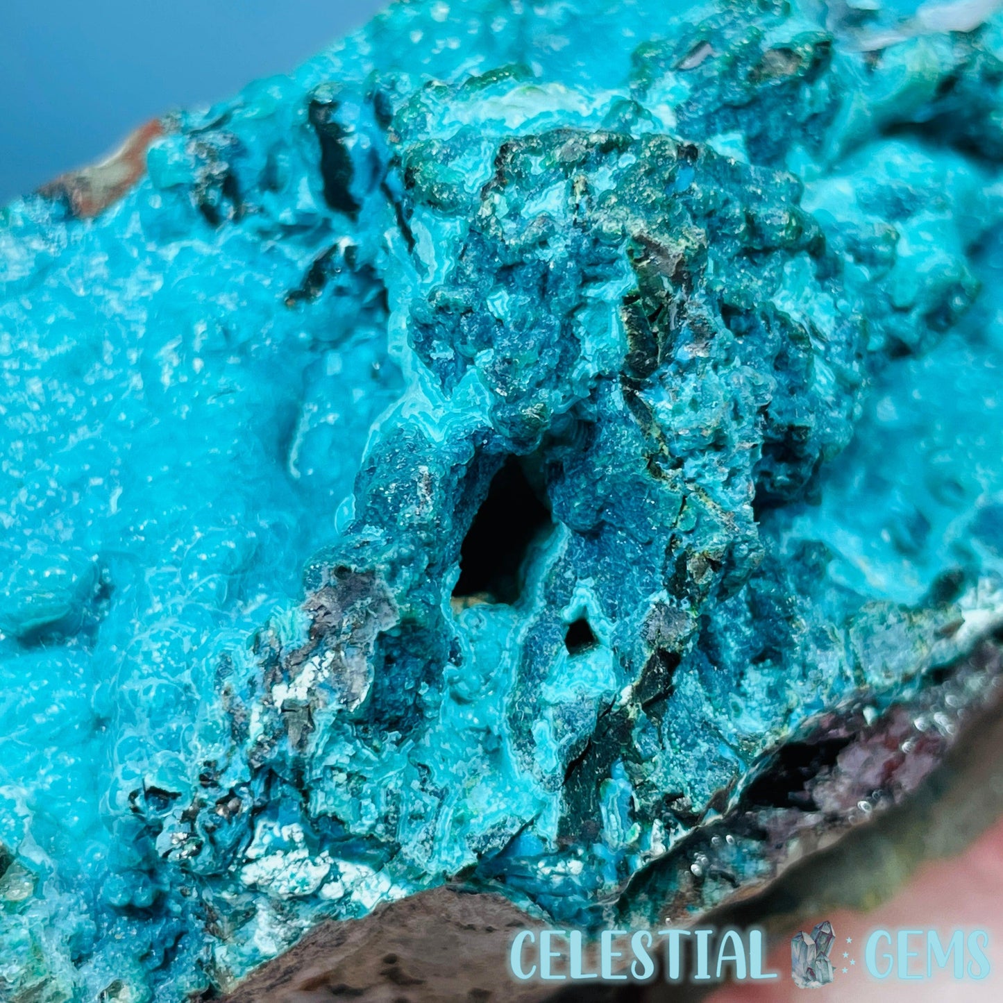 Gem Silica Chrysocolla + Shattuckite Raw Large Specimen