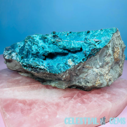 Gem Silica Chrysocolla + Shattuckite Raw Large Specimen
