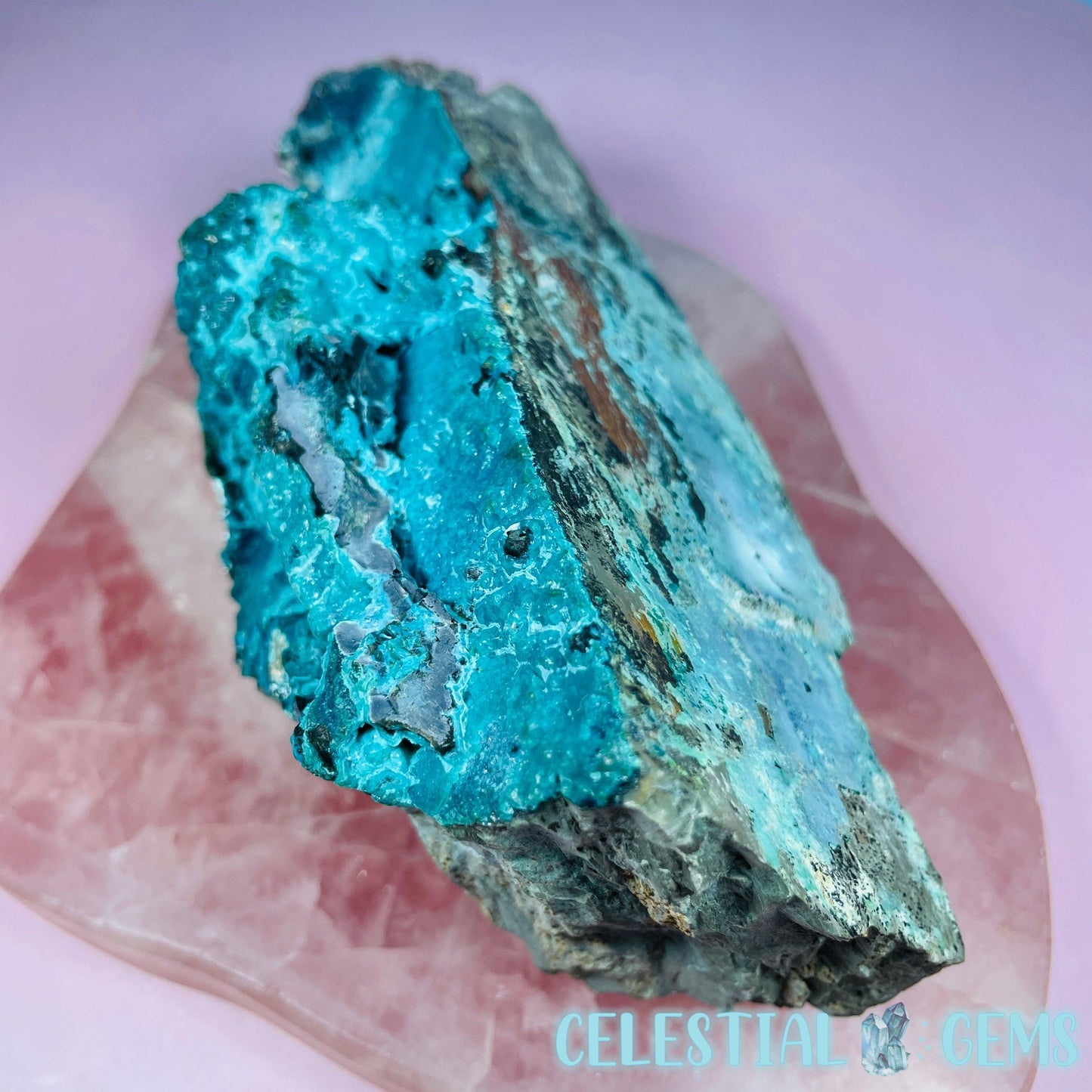 Gem Silica Chrysocolla + Shattuckite Raw Large Specimen