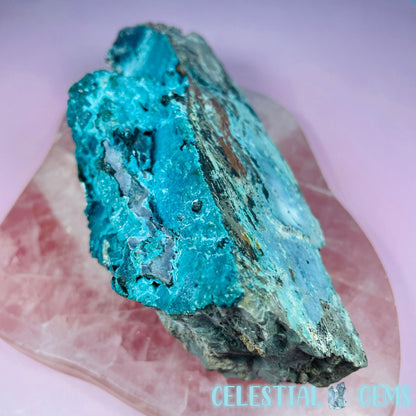 Gem Silica Chrysocolla + Shattuckite Raw Large Specimen