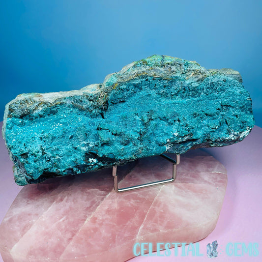 Gem Silica Chrysocolla + Shattuckite Raw Large Specimen