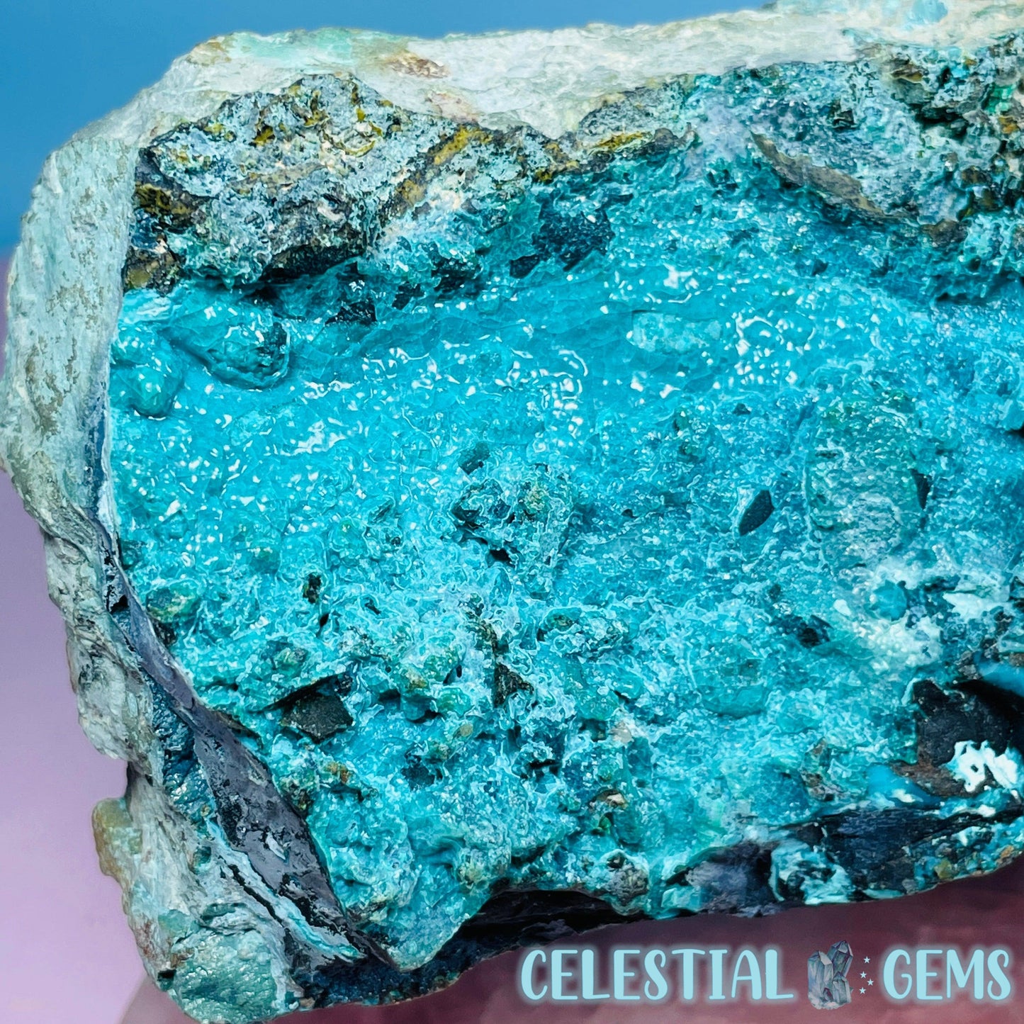 Gem Silica Chrysocolla + Shattuckite Raw Large Specimen