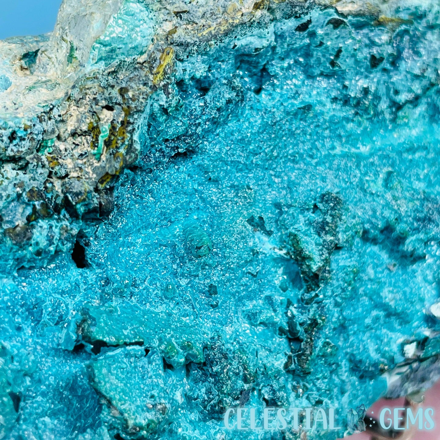 Gem Silica Chrysocolla + Shattuckite Raw Large Specimen
