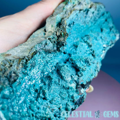 Gem Silica Chrysocolla + Shattuckite Raw Large Specimen