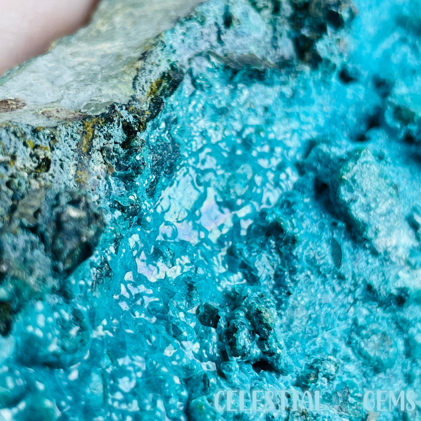 Gem Silica Chrysocolla + Shattuckite Raw Large Specimen