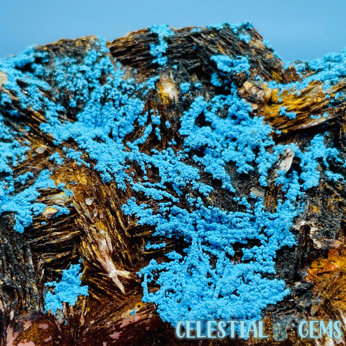 Chrysocolla + Barite Medium Cluster Specimen