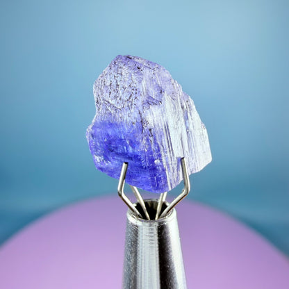 Rare Tanzanite High Grade Crystal Specimen in Box, Tanzania (Video)