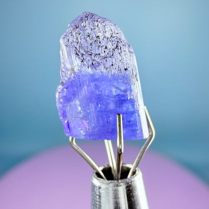 Rare Tanzanite High Grade Crystal Specimen in Box, Tanzania (Video)