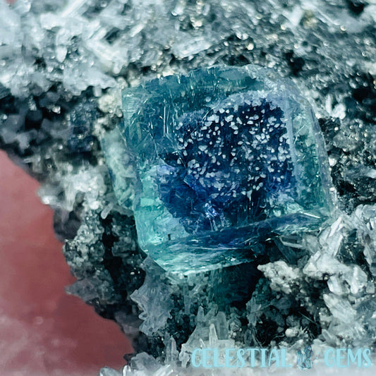 VERY RARE Inner Mongolia Colour-Zoned Fluorite with Pyrite, Jamesonite + Quartz Medium Cluster Specimen