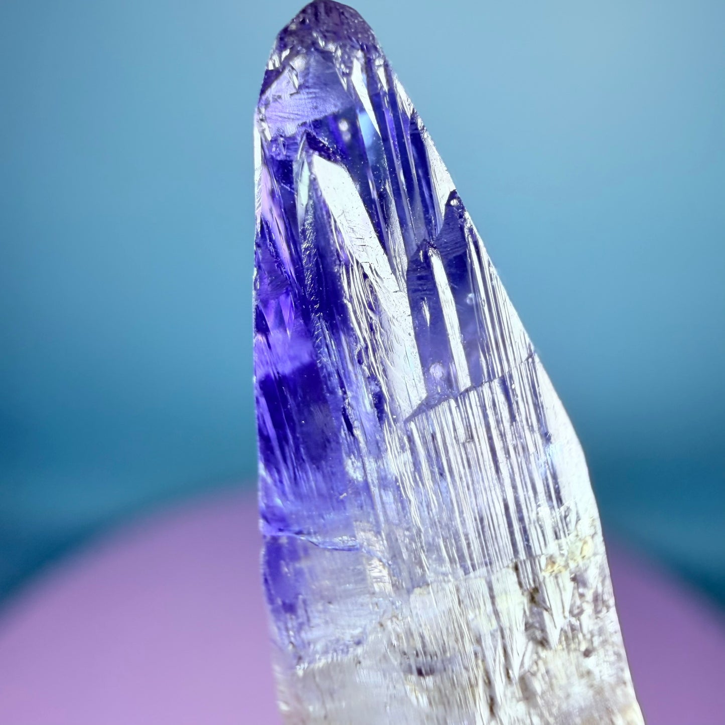 Rare Tanzanite AAA Grade Crystal Point Specimen in Box, Tanzania (Video)