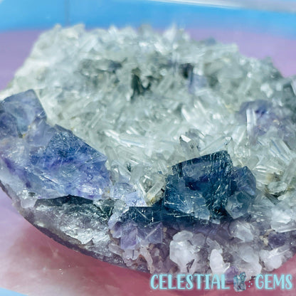 VERY RARE Inner Mongolia Colour-Zoned Fluorite with Jamesonite + Quartz Medium Cluster Specimen