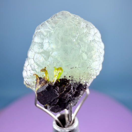 Rare Blue Botryoidal Brucite + Sturmantite Crystal Specimen, Pakistan