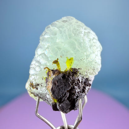 Rare Blue Botryoidal Brucite + Sturmantite Crystal Specimen, Pakistan