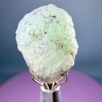 Rare Blue Botryoidal Brucite + Sturmantite Crystal Specimen, Pakistan