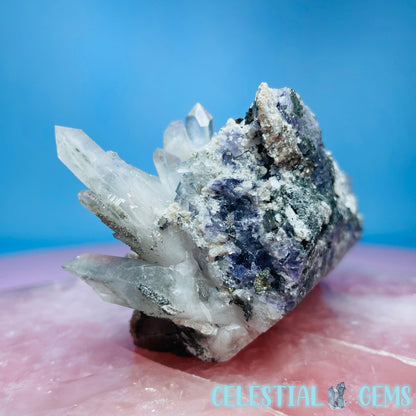 RARE Yaogangxian Colour-Zoned Fluorite, Mica + Pyrite on Chlorite Quartz Medium Cluster Specimen