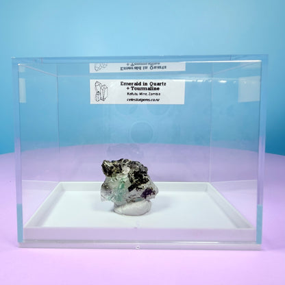 Rare Emerald in Quartz with Tourmaline Crystal Specimen in Box, Zambia